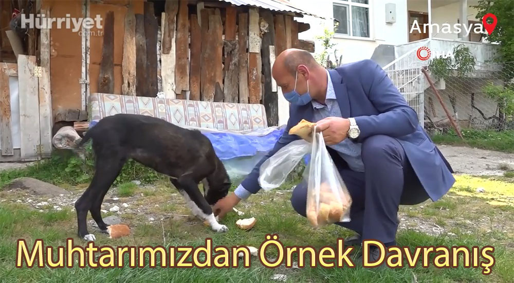 Boraboy Köyü muhtarımızdan örnek davranış